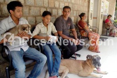 Hebbal best sale dog hospital