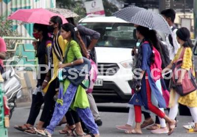 Sun deals umbrella bangalore